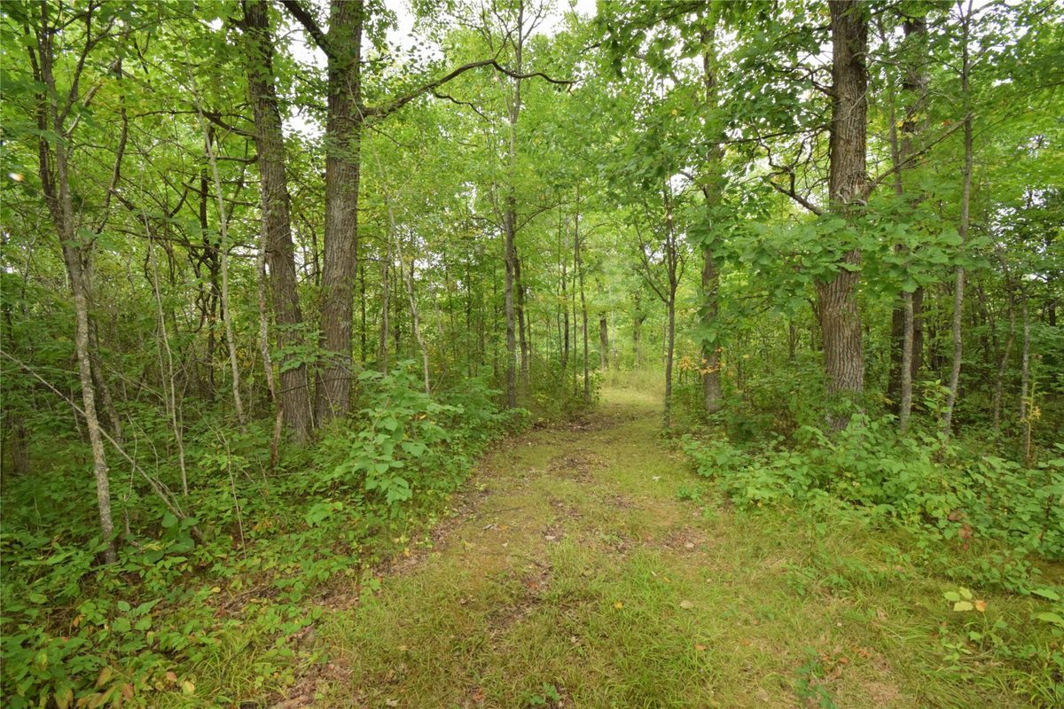TBD State Highway 77, Danbury WI 54830 - Land house for sale - MLS #1604768 - image9