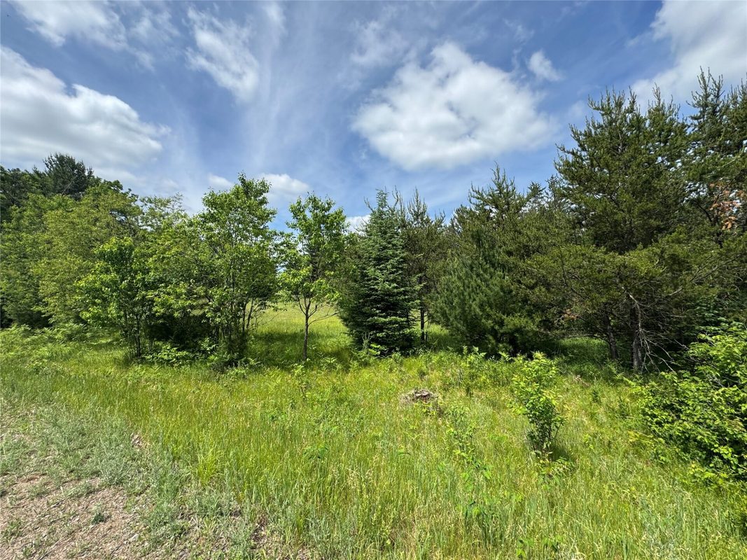 N 6398 Fred Tripp Road, Springbrook WI 54875 - Land house for sale - MLS #1602077 - image10