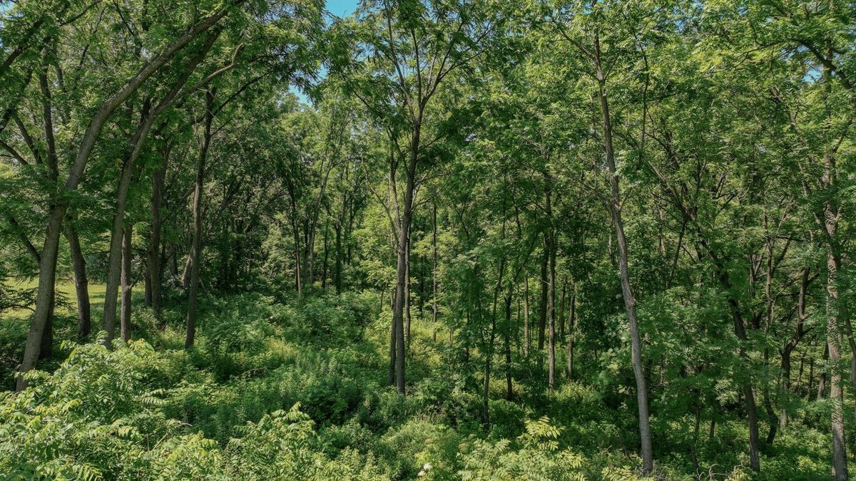 00 Garves Coulee Road, Bangor WI 54614 - Land house for sale - MLS #1603270 - image15