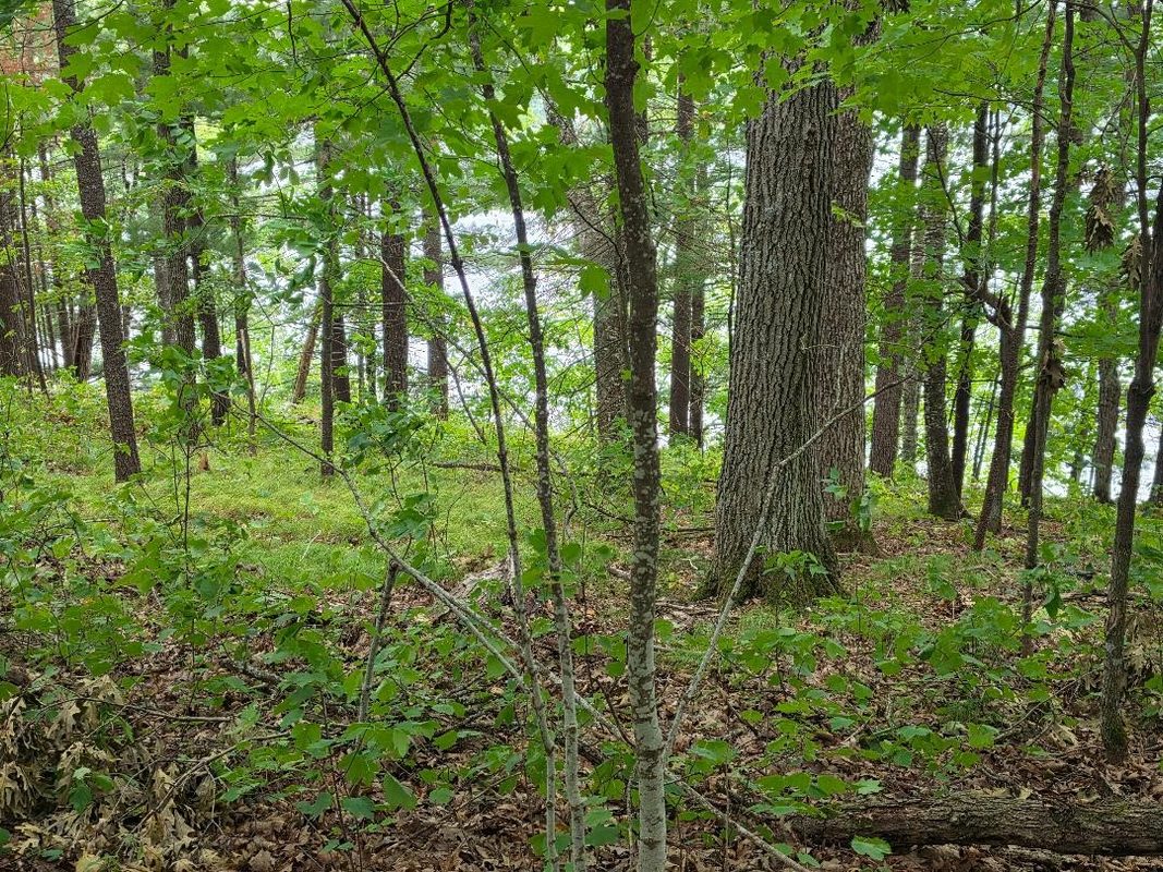 000 4th, Cumberland WI 54829 - Land house for sale - MLS #1606062 - image11