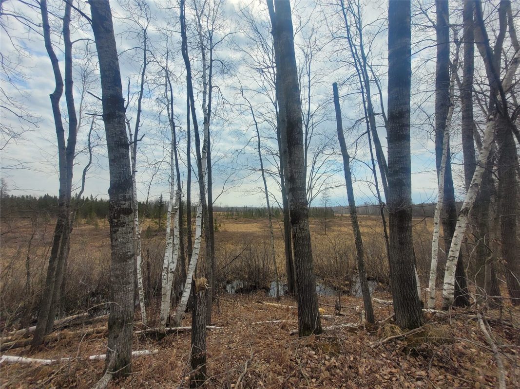 On Dean Road, Ladysmith WI 54848 - Land house for sale - MLS #1605065 - image6