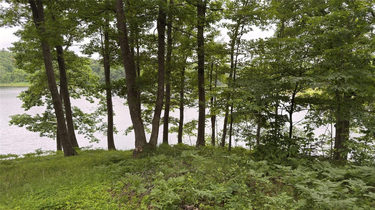 765 270th Ave Cty Rd O, Frederic WI 54837 - Land house for sale - MLS #1602300 - image5
