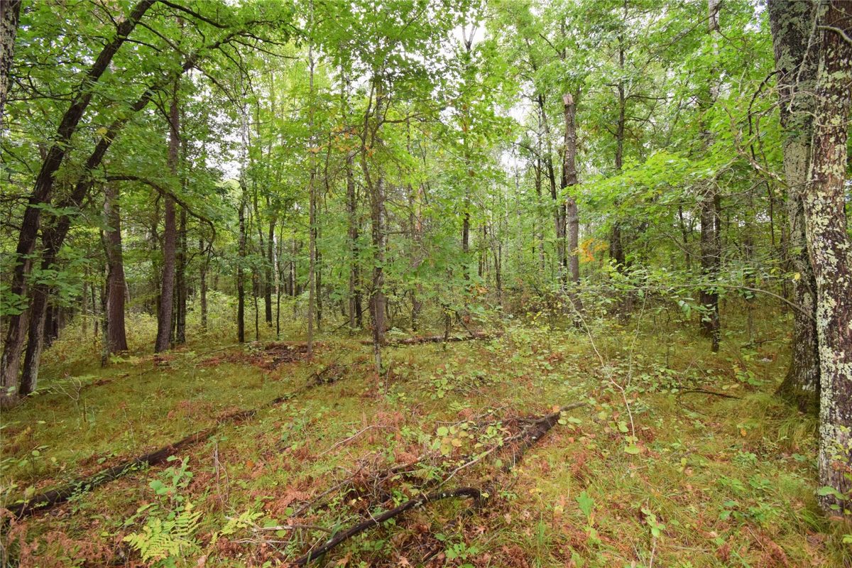 W9444 Dock Lake Road, Spooner WI 54801 - Residential house for sale - MLS #1605418 - image50
