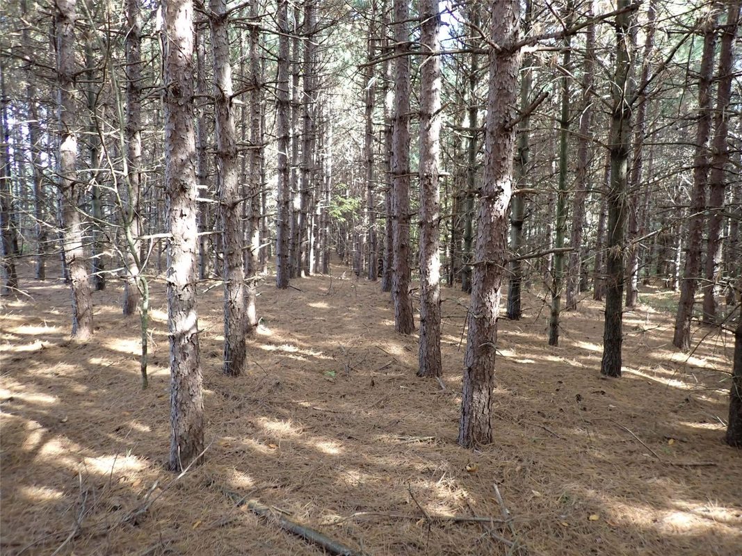 70.54 acres 26 1/2 St, Cumberland WI 54829 - Land house for sale - MLS #1605975 - image8