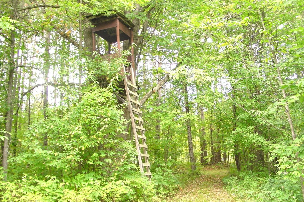 N5391 Hwy. 73, Ingram WI 54526 - Residential house for sale - MLS #1604886 - image27