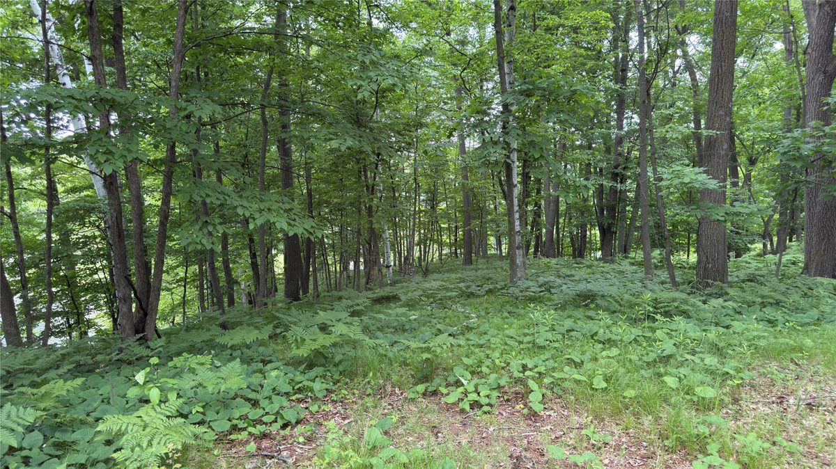765 270th Ave Cty Rd O, Frederic WI 54837 - Land house for sale - MLS #1602300 - image16