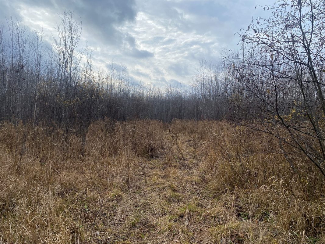 Near Timber Road Catawba WI 54515 — photo 2