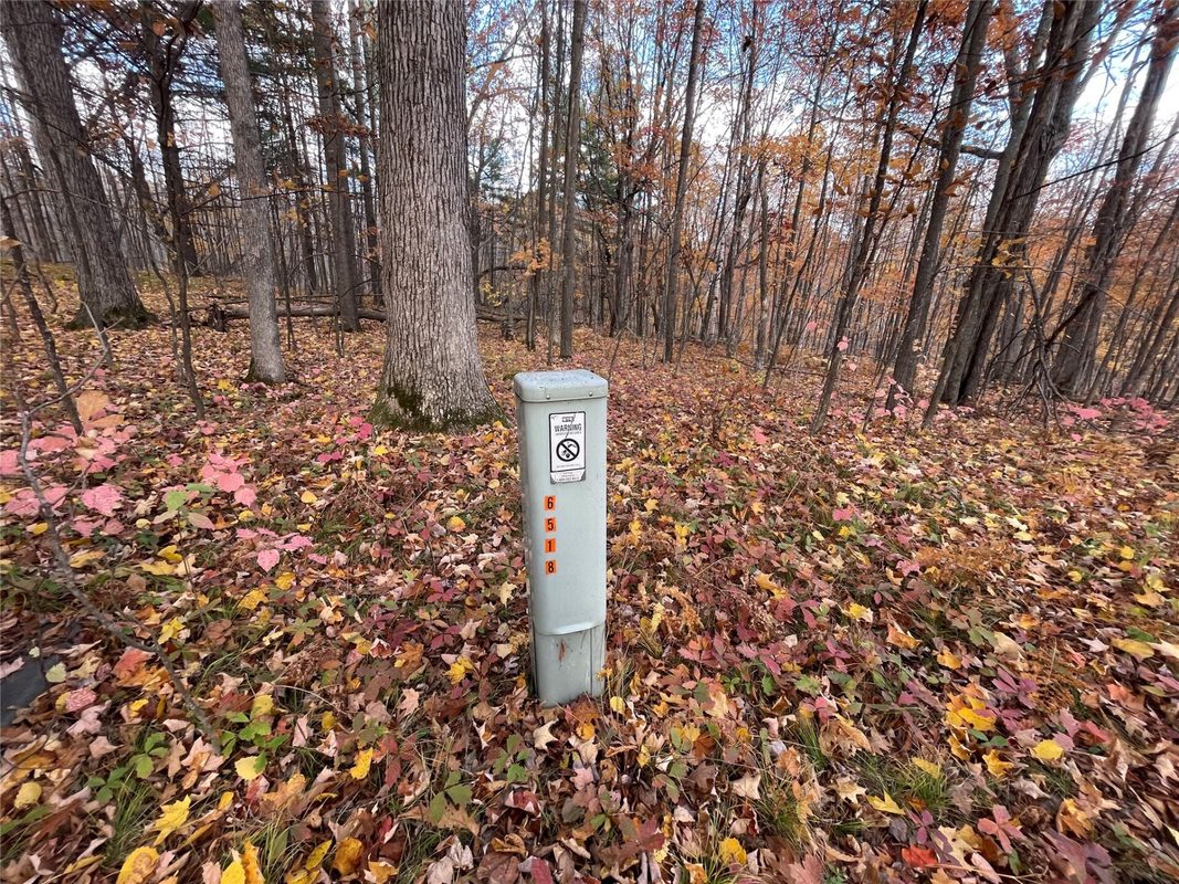 7 W Tanager Trail, Hayward, WI — photo 34