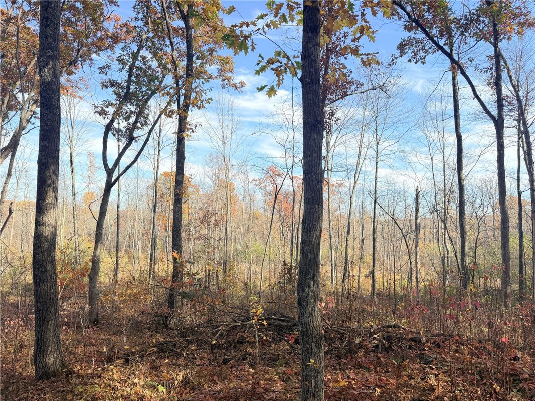 0 County Highway C, Rice Lake WI 54868 - Land house for sale - MLS #1605929 - image40