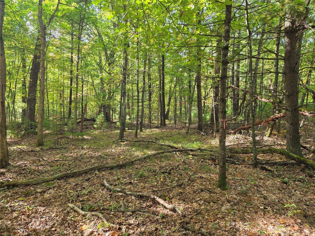 S10130 County Road H, Fairchild WI 54741 - Residential house for sale - MLS #1605513 - image42