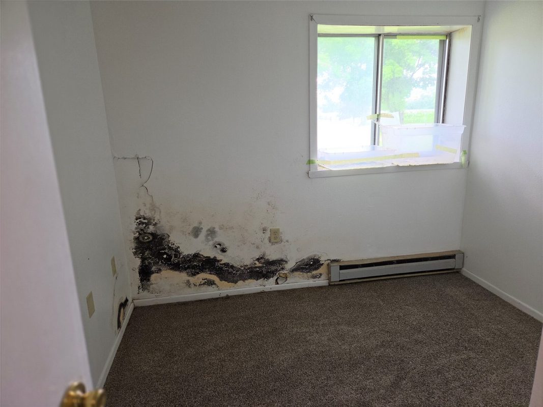 507 Wilson Street, Downing WI 54734 - ResidentialIncome house for sale - MLS #1603346 - image20
