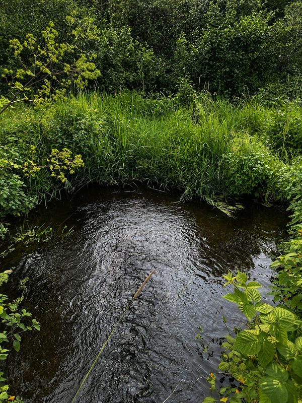 9211 Tripp Road, Springbrook WI 54875 - Land house for sale - MLS #1604159 - image2