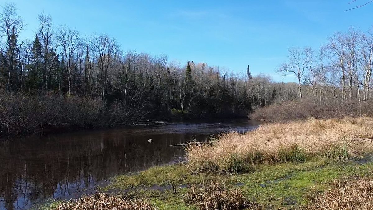127XX State Highway 70, Couderay WI 54828 - Land house for sale - MLS #1606290 - image15