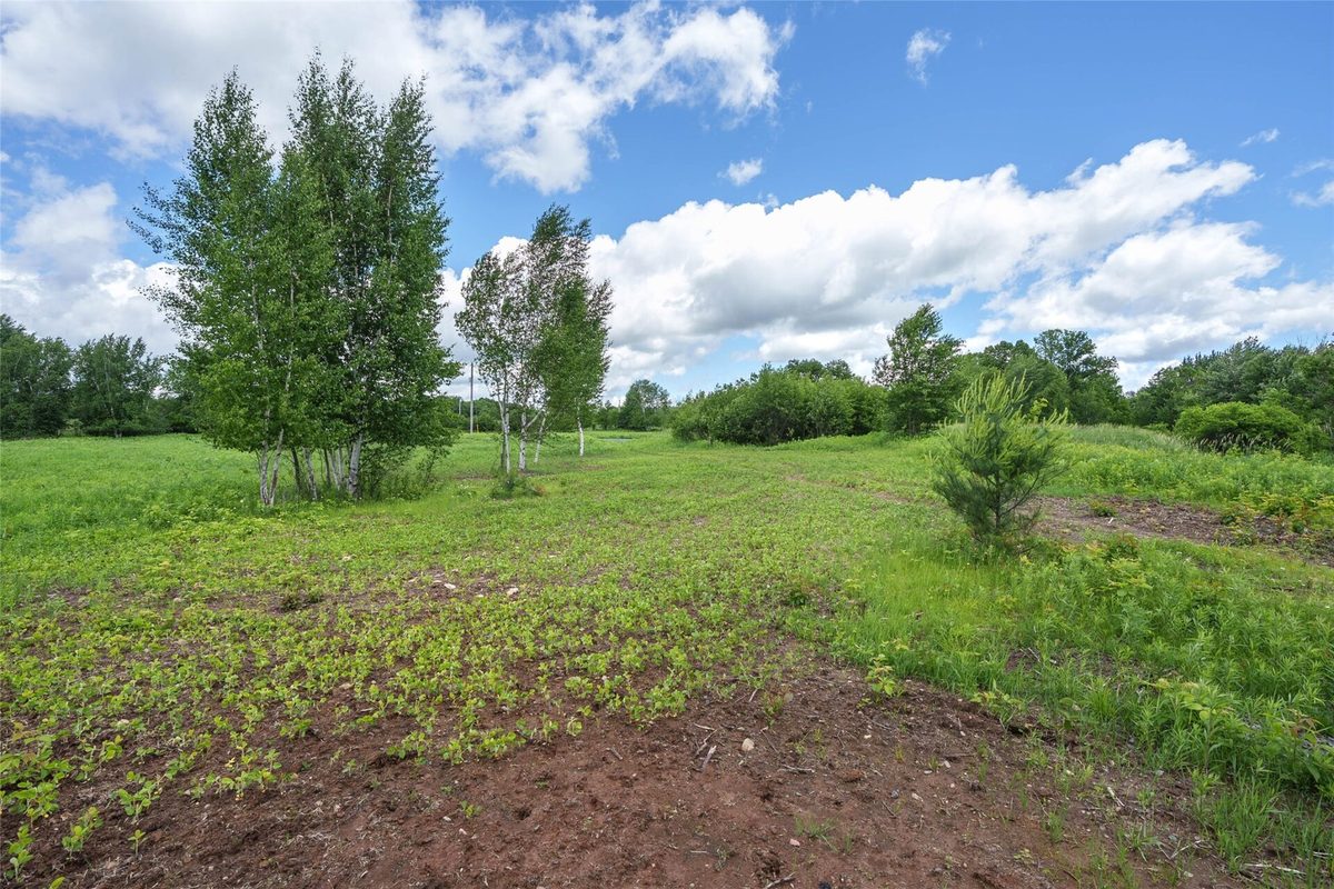 W13775 Shiner Drive, Lublin WI 54447 - Land house for sale - MLS #1602423 - image2