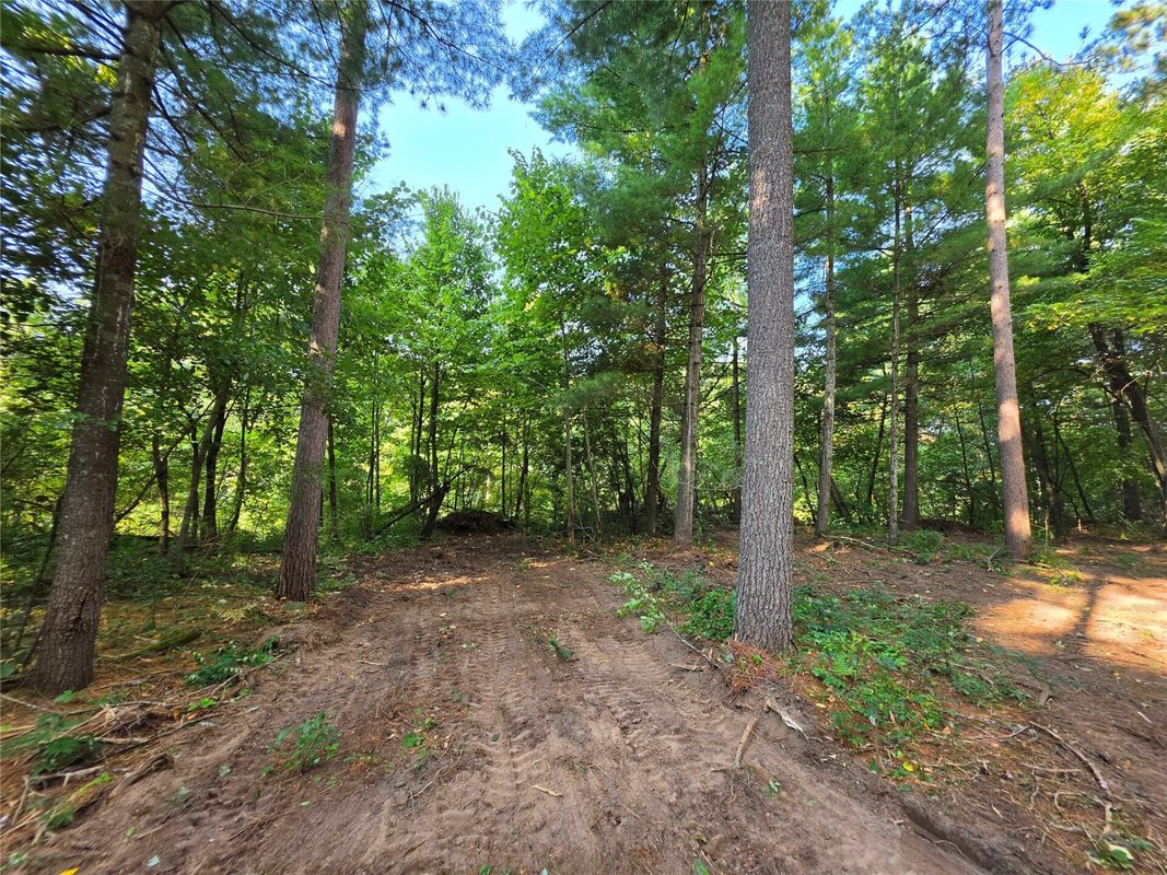 0 Country Road C Lot 1, Elk Mound WI 54739 - Land house for sale - MLS #1604589 - image7
