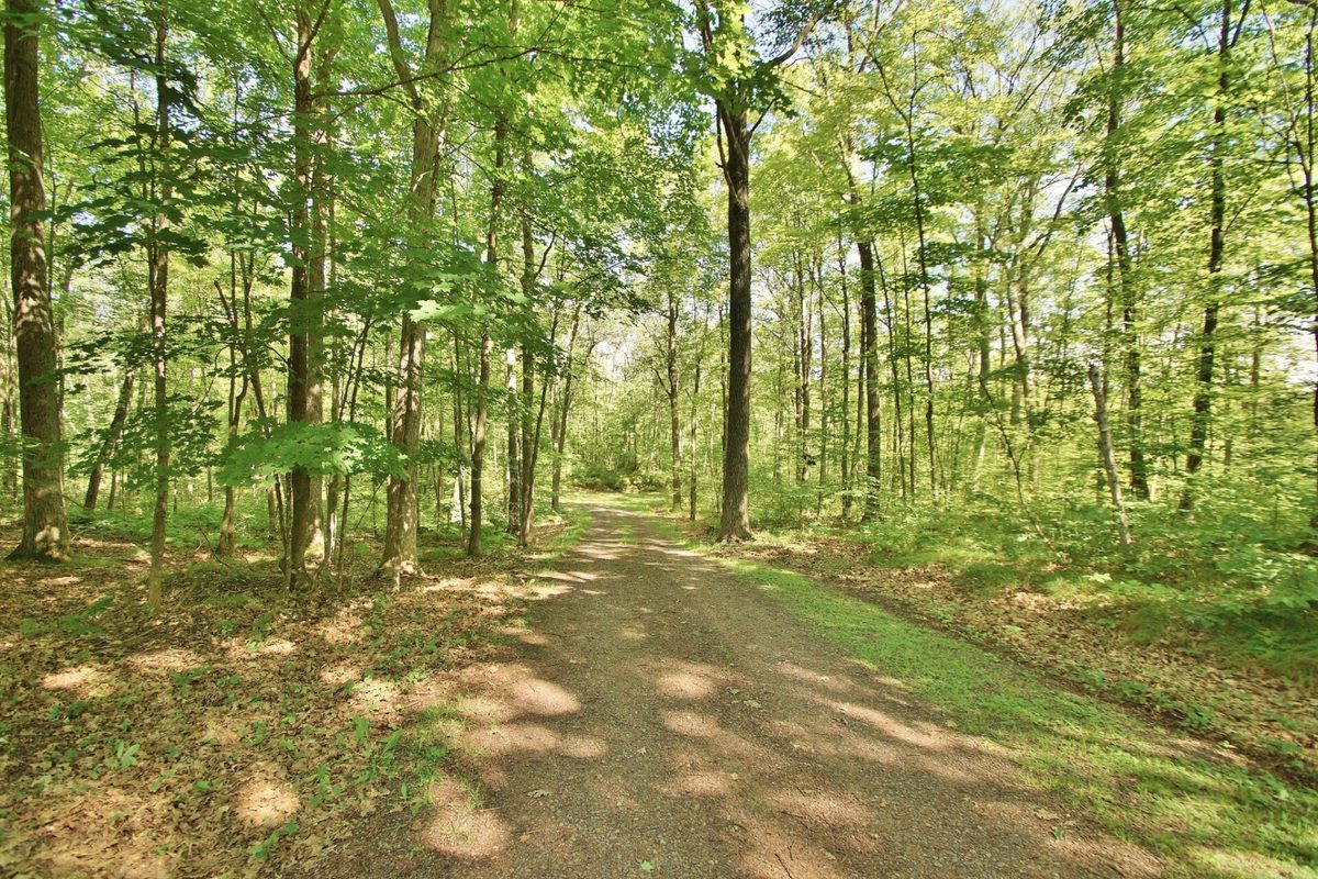 8654 Ochu Road, Hayward WI 54843 - Residential house for sale - MLS #1601337 - image4