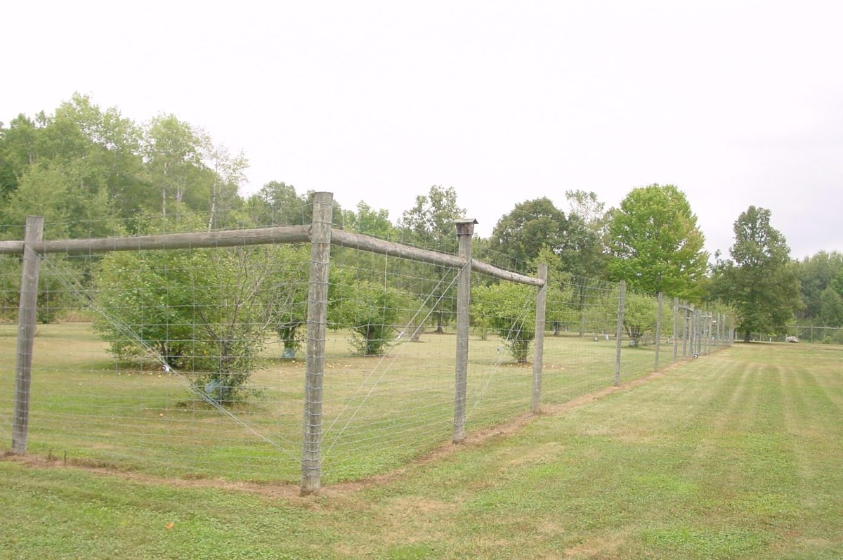 N5391 Hwy. 73, Ingram WI 54526 - Residential house for sale - MLS #1604886 - image44