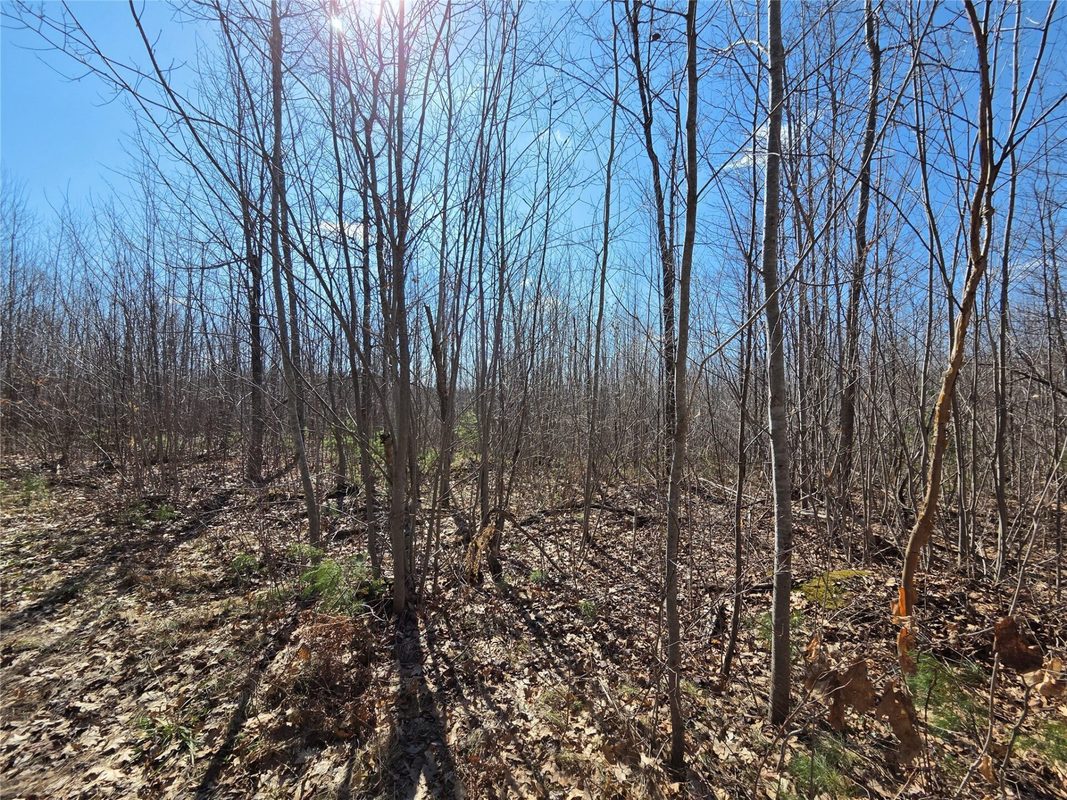 Lot 1 W South Shore Rd Hayward WI 54843 — photo 14