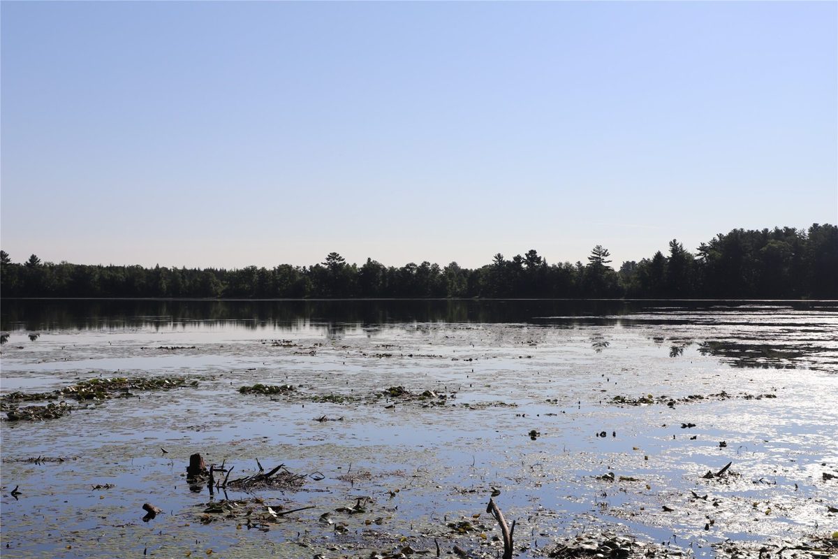0000 Sand Lake Road, Stone Lake WI 54876 - Land house for sale - MLS #1604299 - image20