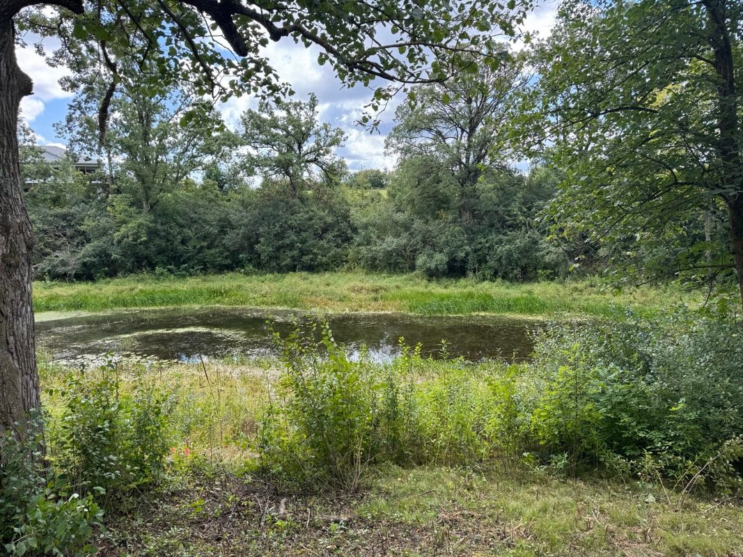 Lot 28 21st Street, Rice Lake WI 54868 - Land house for sale - MLS #1603229 - image6