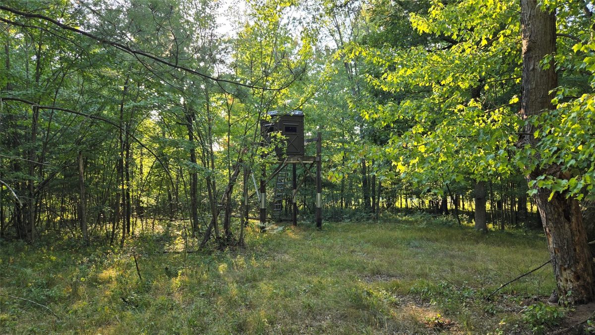 W02 State Highway 64, Colfax WI 54730 - Land house for sale - MLS #1604529 - image20