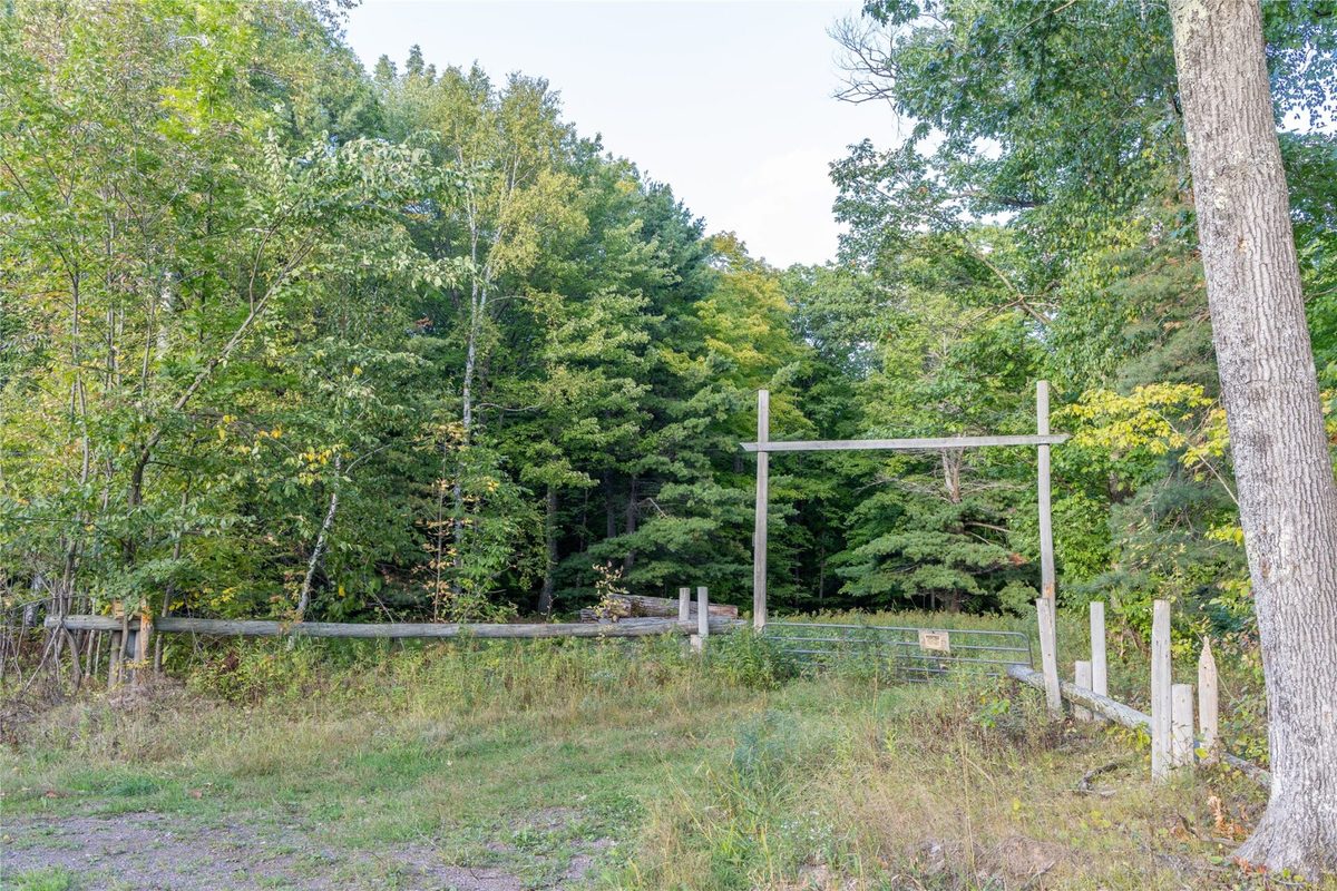 38.2 Acres Vierck Lane, Exeland WI 54835 - Land house for sale - MLS #1605286 - image22