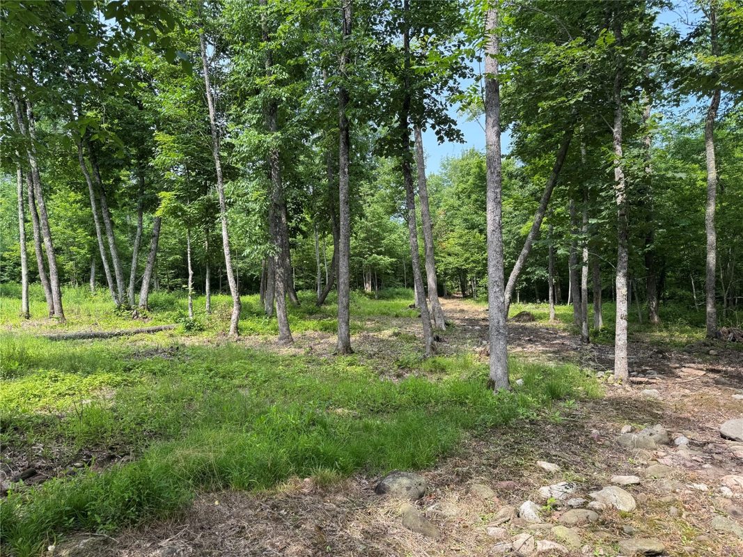 XXX Eckel Lane, Couderay WI 54835 - Land house for sale - MLS #1603143 - image35