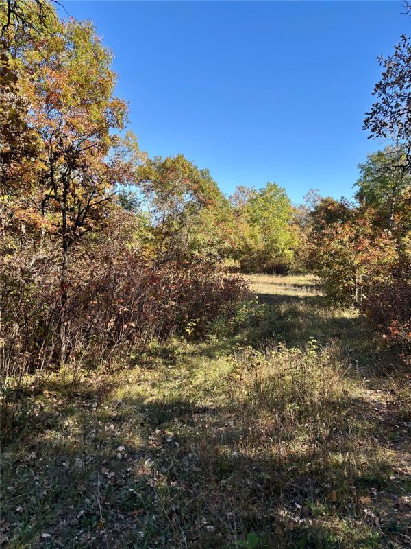 9524 Bergin Springs Road, Solon Springs WI 54873 - Land house for sale - MLS #1605714 - image16