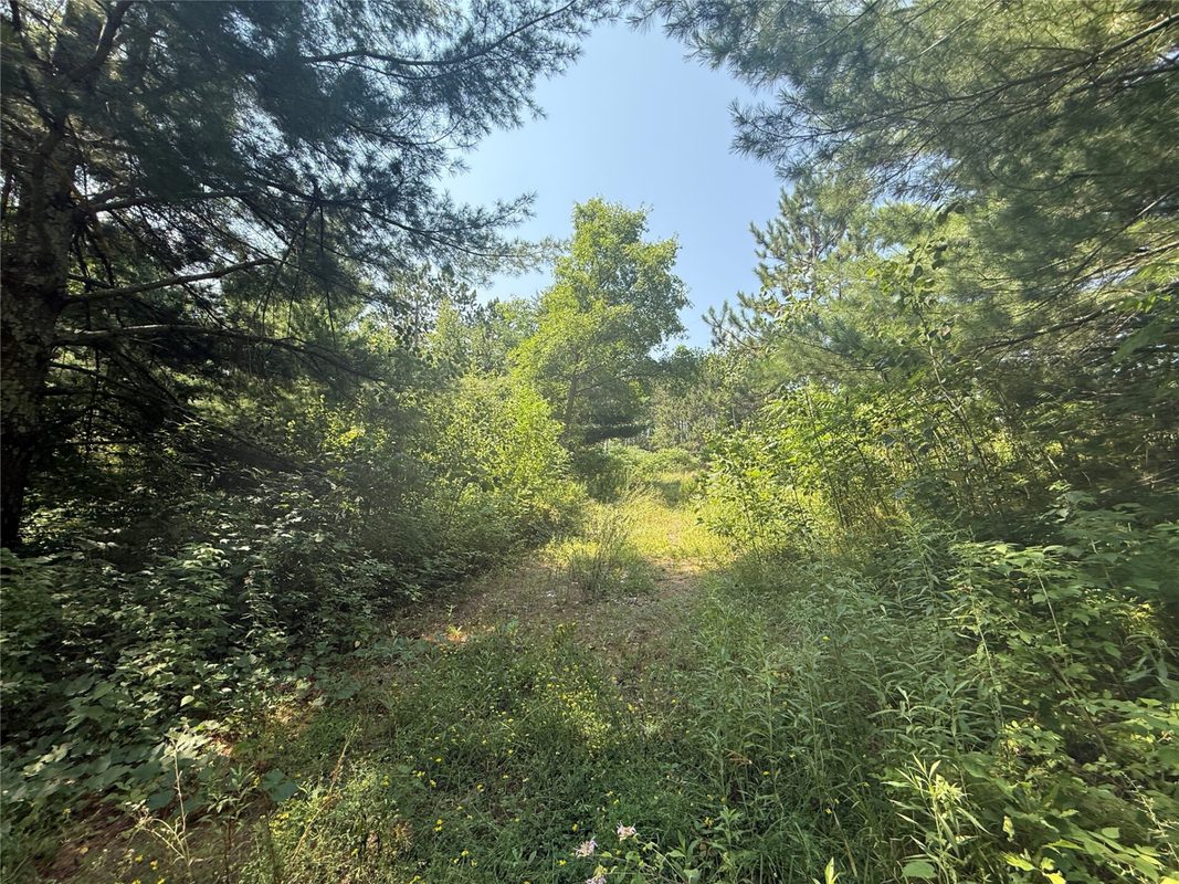 N3720 State Highway 40, Bruce WI 54819 - Land house for sale - MLS #1603658 - image10