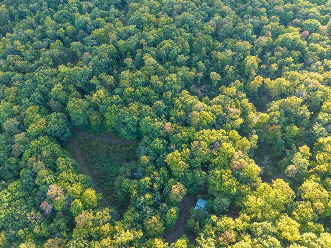 38.2 Acres Vierck Lane, Exeland WI 54835 - Land house for sale - MLS #1605286 - image8
