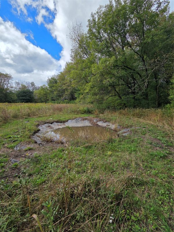 W4421 825th Avenue, Spring Valley WI 54767 - Residential house for sale - MLS #1605279 - image38