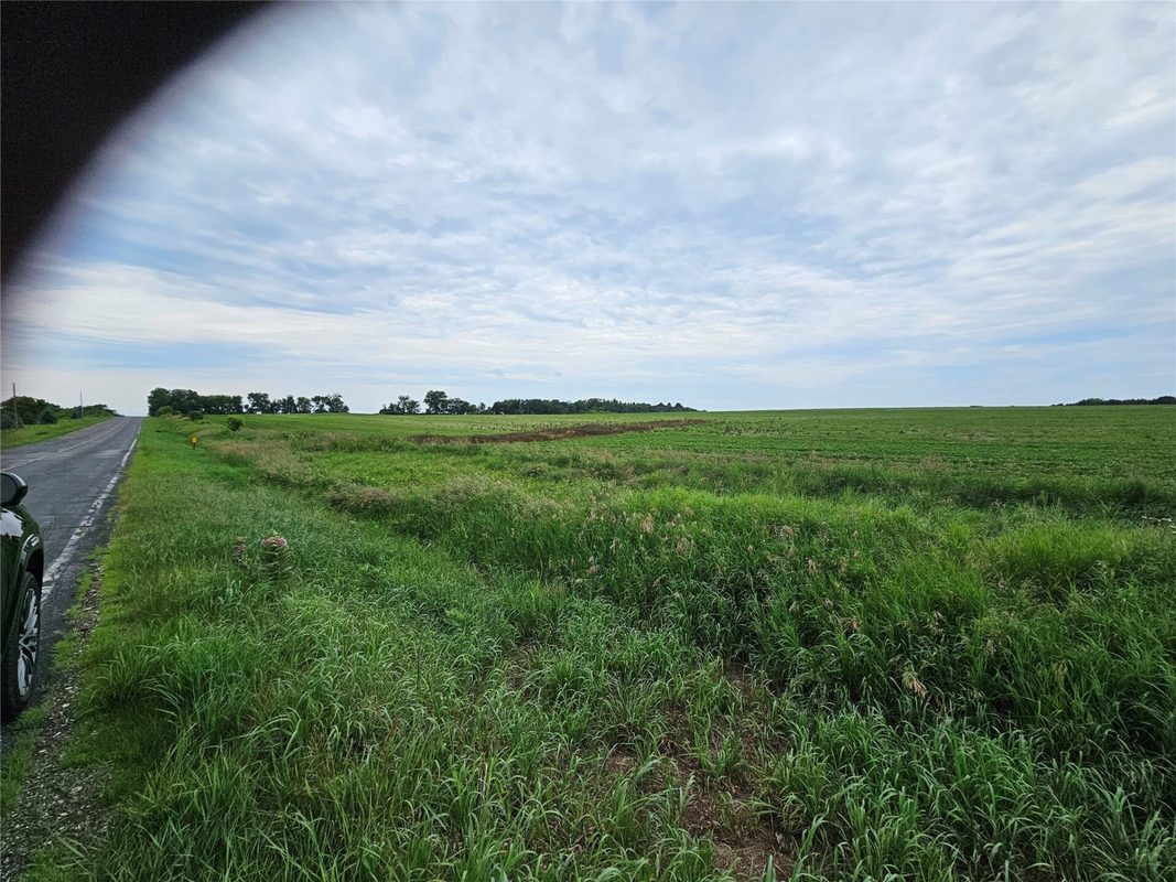 40 Acres County Road, River Falls WI 54022 - Land house for sale - MLS #1602871 - image2