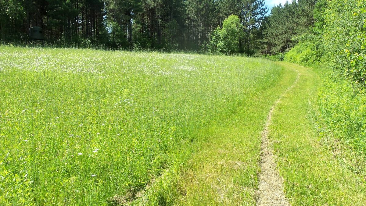 XXX Bashaw Store Road, Shell Lake WI 54871 - Land house for sale - MLS #1603494 - image16