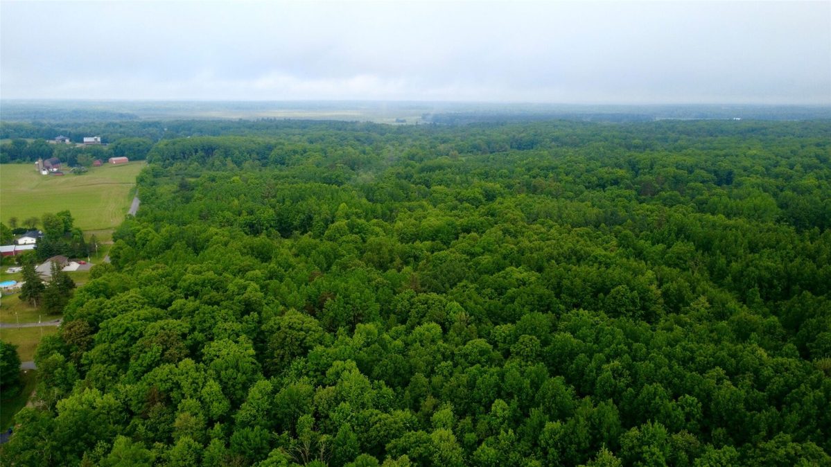 000 Boundary Road, Ringle WI 54471 - Land house for sale - MLS #1602183 - image3