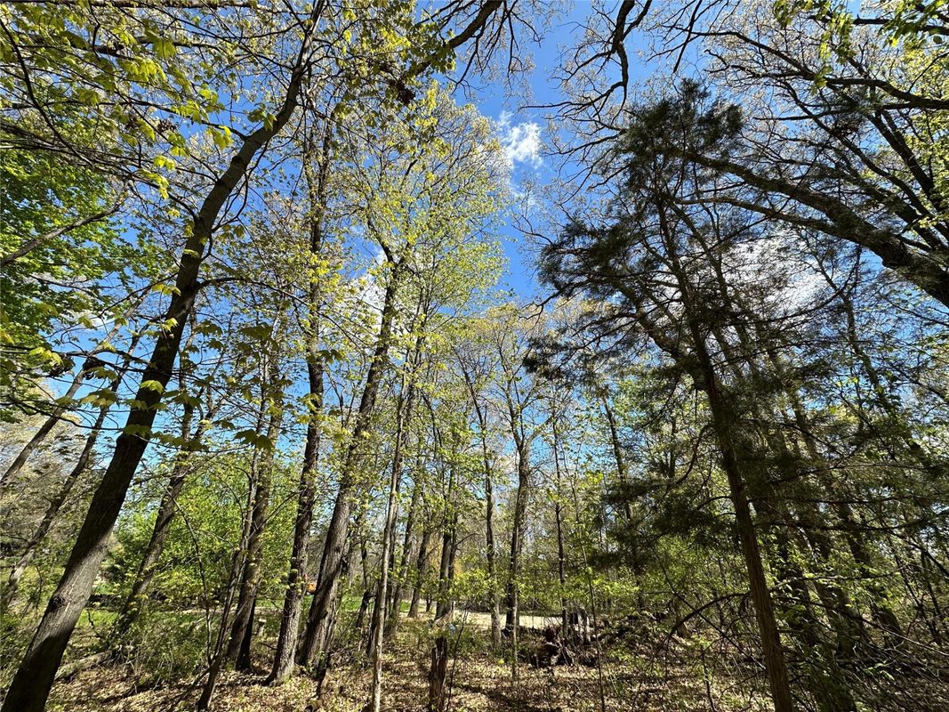 1438 Pleasant Hill Road, Eau Claire WI 54703 - Land house for sale - MLS #1602766 - image45