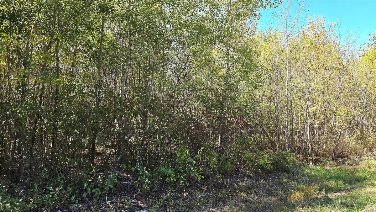 On County HWY W, Winter WI 54896 - Land house for sale - MLS #1605419 - image13