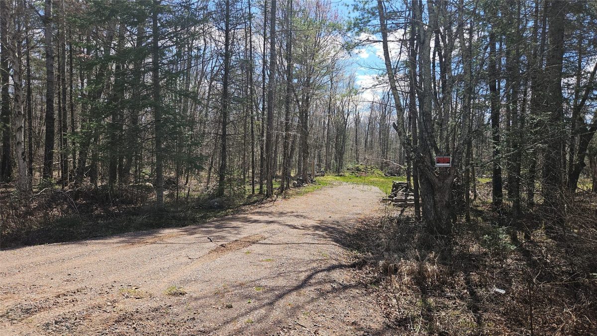 12331 Delap Lane, Couderay WI 54828 - Land house for sale - MLS #1600596 - image2