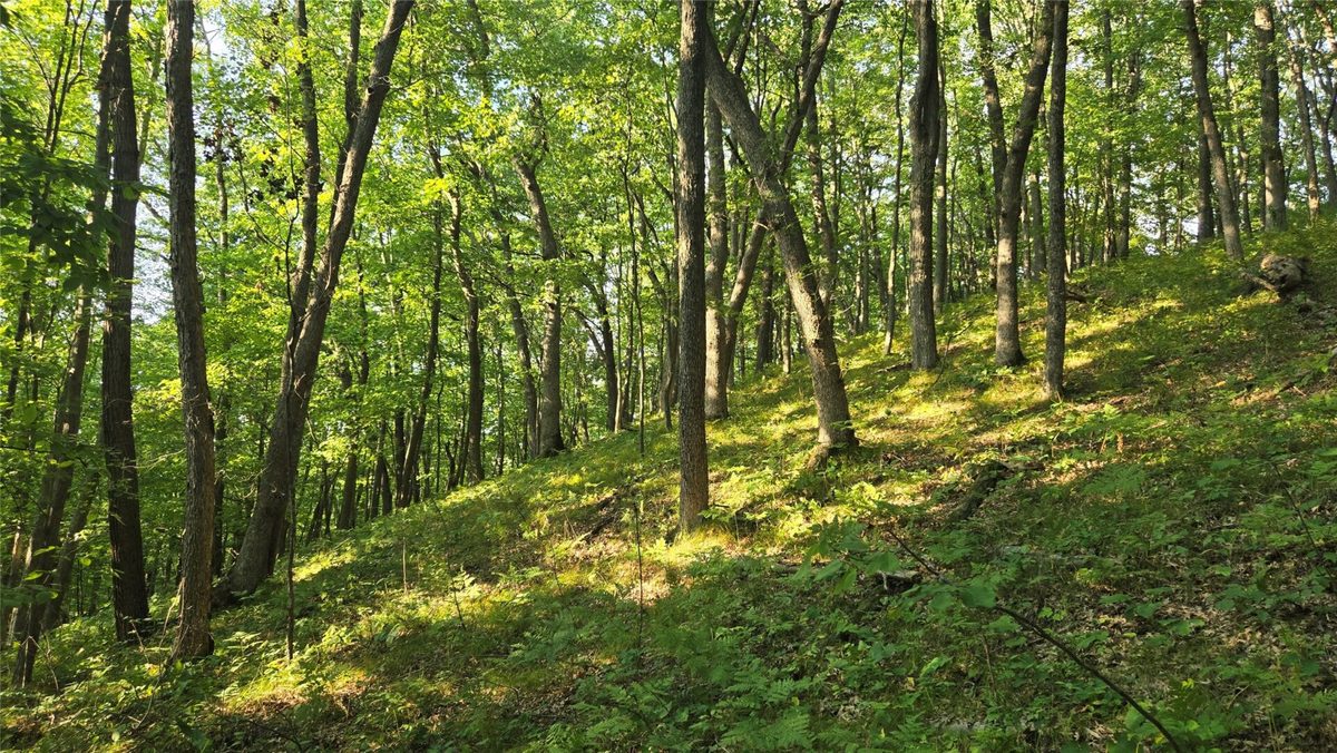 W02 State Highway 64, Colfax WI 54730 - Land house for sale - MLS #1604529 - image11