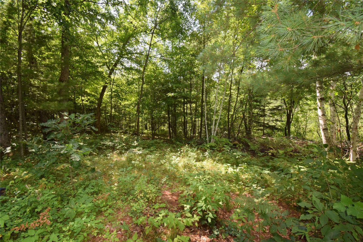4646 Whitetail Path, Webster WI 54893 - Land house for sale - MLS #1604469 - image32