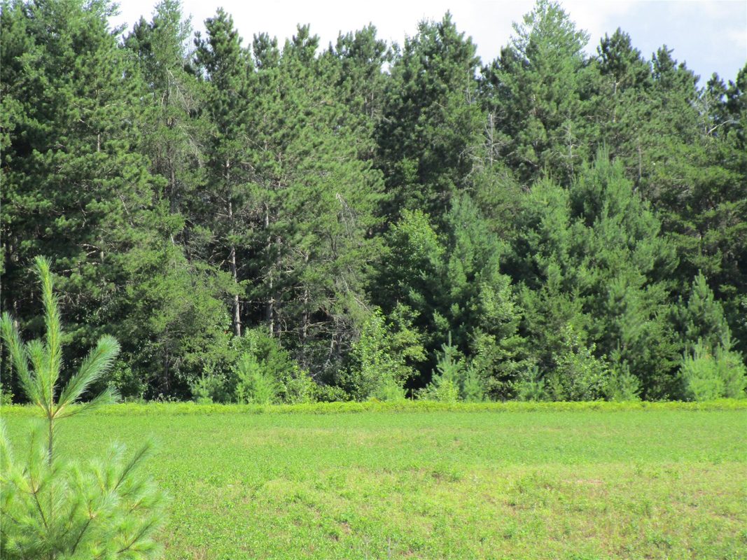 xx River Pine Drive, Ladysmith WI 54848 - Land house for sale - MLS #1601918 - image10