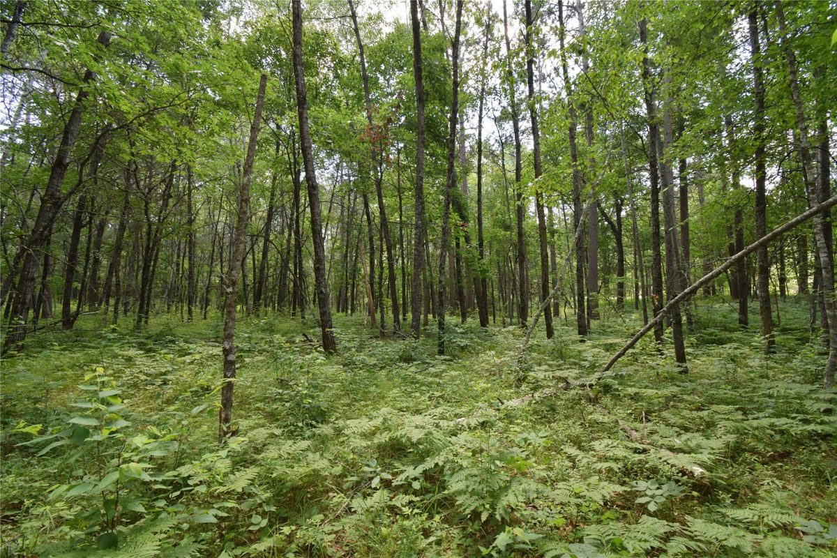 Lot 2 Saylors Lane, Siren WI 54872 - Land house for sale - MLS #1603029 - image11