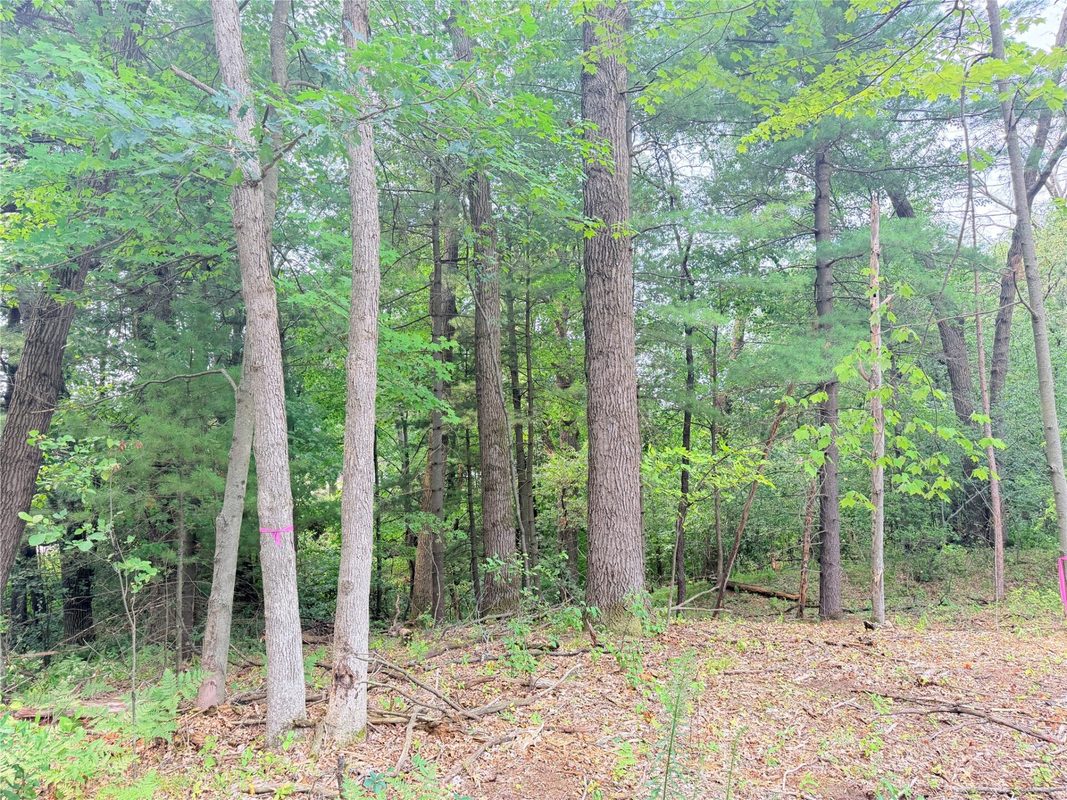 5262 195th Street, Chippewa Falls WI 54729 - Residential house for sale - MLS #1601920 - image12