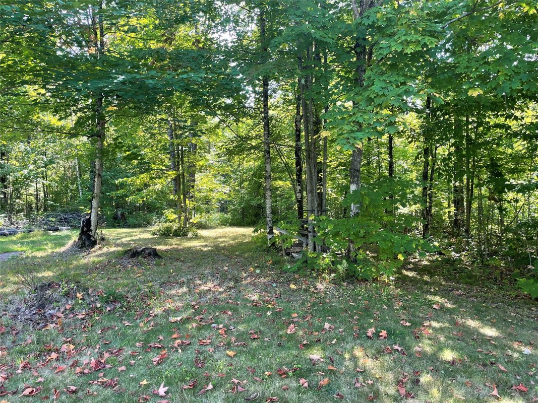 7154 McDermott Road, Winter WI 54896 - Residential house for sale - MLS #1604729 - image37