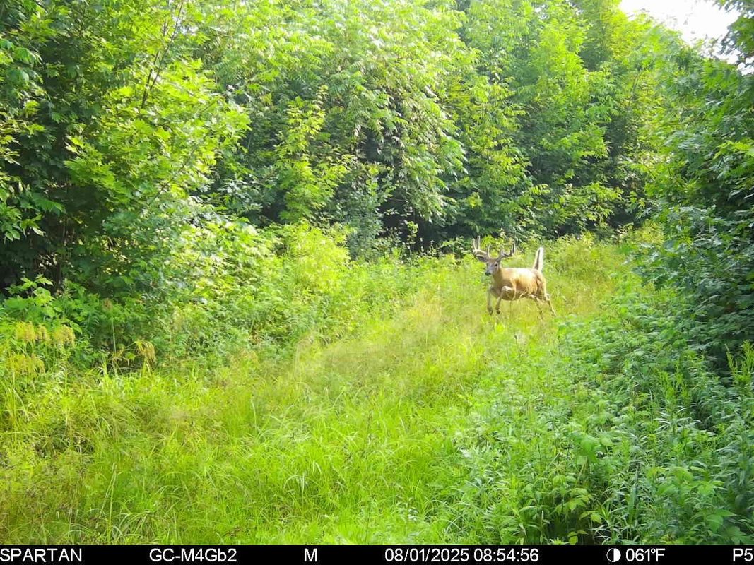 On County Road H, Radisson WI 54867 - Land house for sale - MLS #1603350 - image25