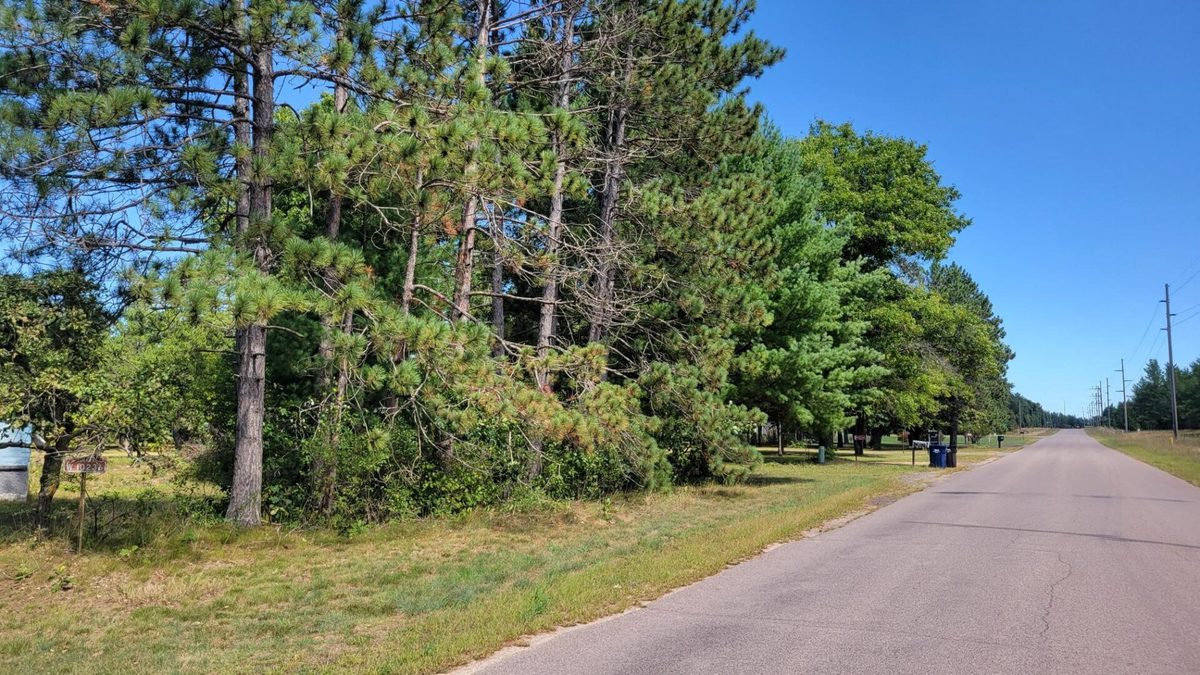 W10236 and W10232 Vaudreuil Road, Black River Falls WI 54615 - Residential house for sale - MLS #1605110 - image3