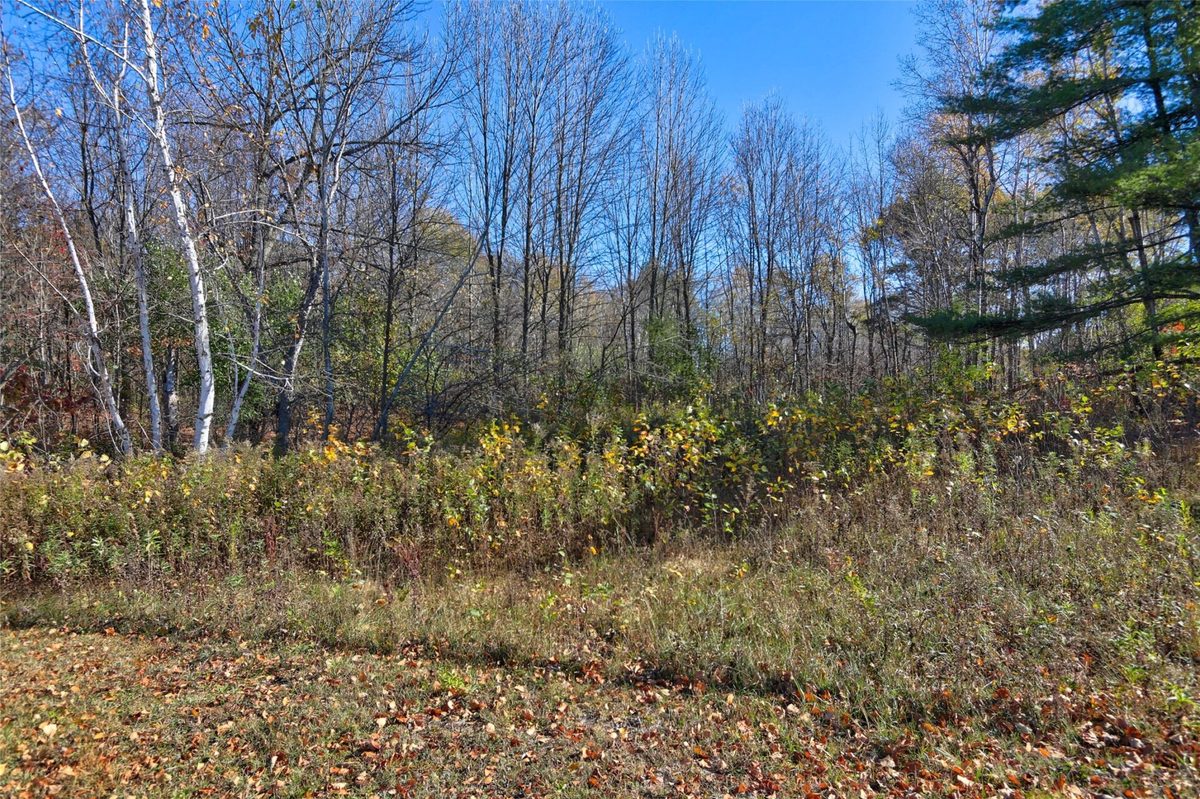 11720N Harper Road, Hayward WI 54843 - Land house for sale - MLS #1606038 - image6