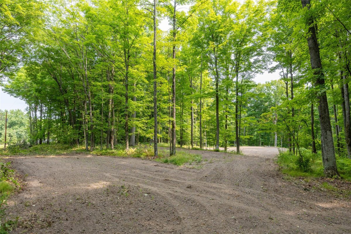 W5957 Happy Acres Road, Tony WI 54563 - Land house for sale - MLS #1604243 - image3