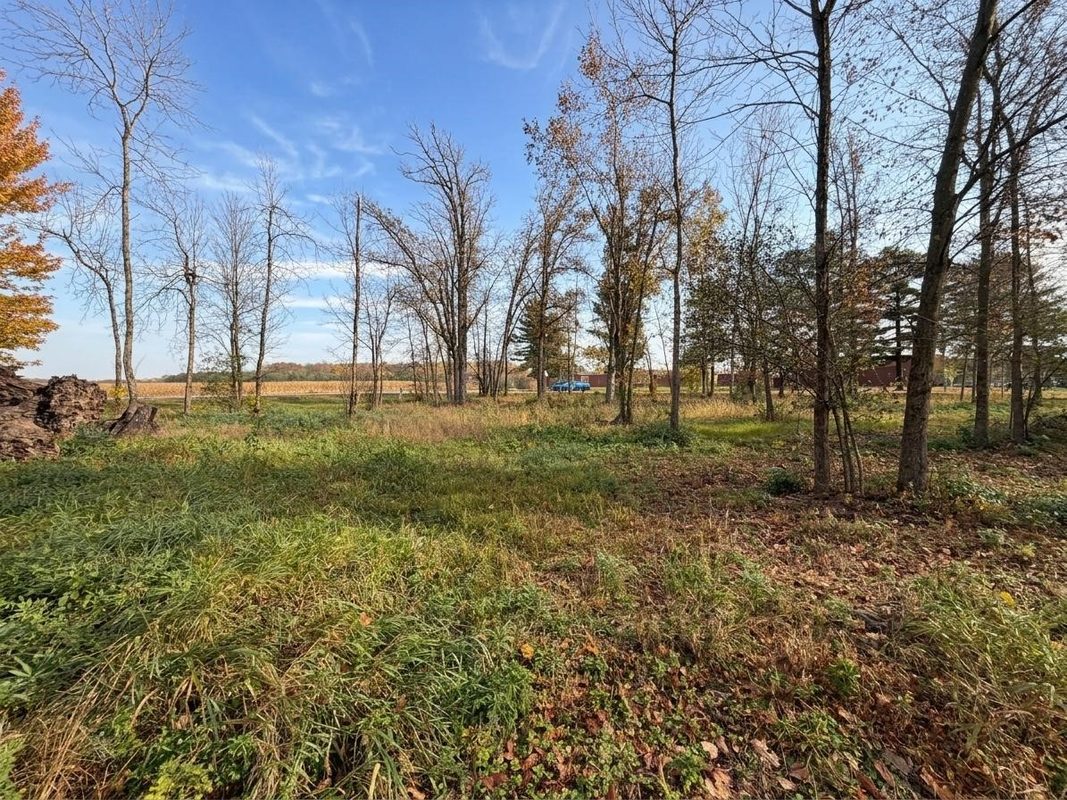 Lot 1 East Street, New Auburn WI 54757 - Land house for sale - MLS #1605670 - image5