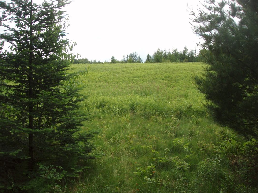 N16798 Bass Lake Road, Butternut WI 54514 - Residential house for sale - MLS #1603059 - image30