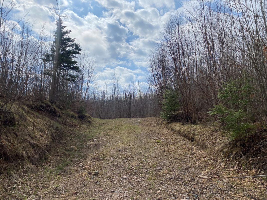 Near Wilson Lake Road Phillips WI 54555 — photo 4